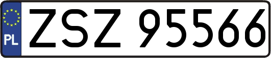 ZSZ95566