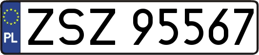 ZSZ95567