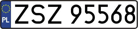 ZSZ95568