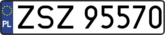 ZSZ95570
