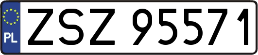 ZSZ95571