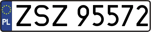 ZSZ95572