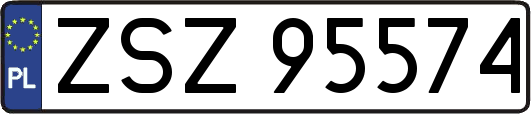ZSZ95574