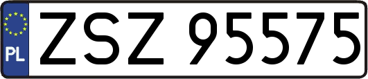 ZSZ95575