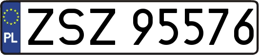 ZSZ95576