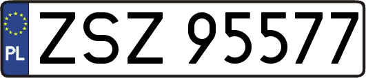 ZSZ95577