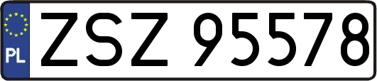 ZSZ95578