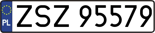ZSZ95579