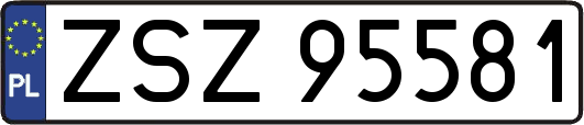 ZSZ95581