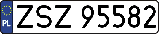 ZSZ95582