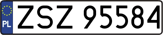 ZSZ95584