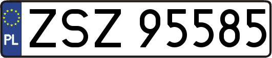ZSZ95585