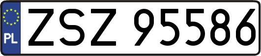 ZSZ95586