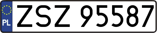 ZSZ95587