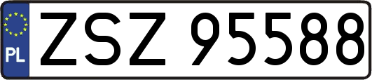 ZSZ95588
