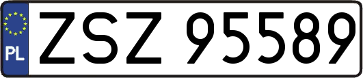 ZSZ95589