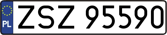 ZSZ95590