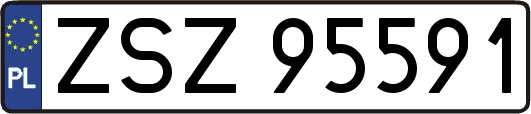ZSZ95591