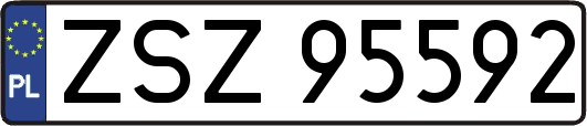 ZSZ95592