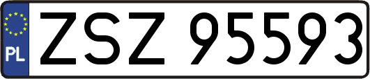 ZSZ95593