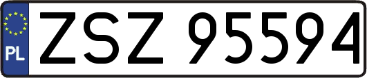 ZSZ95594