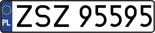ZSZ95595