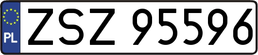ZSZ95596