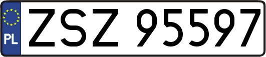 ZSZ95597