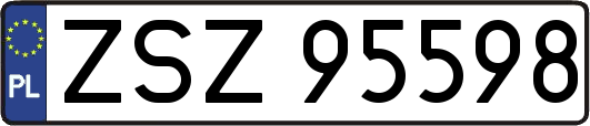ZSZ95598