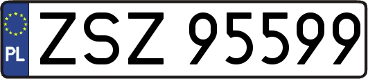 ZSZ95599