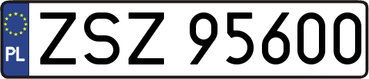 ZSZ95600