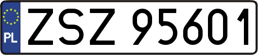 ZSZ95601