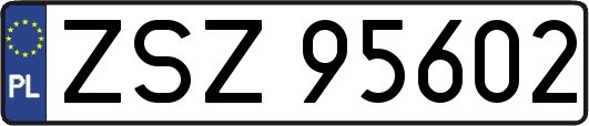ZSZ95602