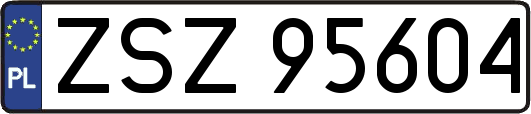ZSZ95604