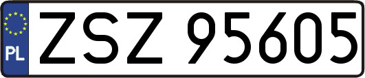 ZSZ95605