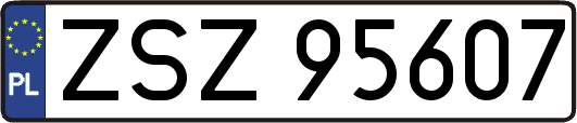 ZSZ95607