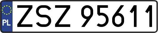 ZSZ95611