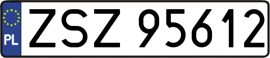 ZSZ95612