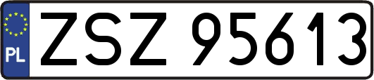 ZSZ95613