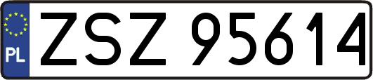 ZSZ95614
