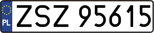 ZSZ95615