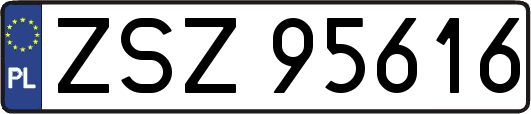 ZSZ95616