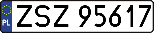 ZSZ95617
