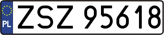ZSZ95618