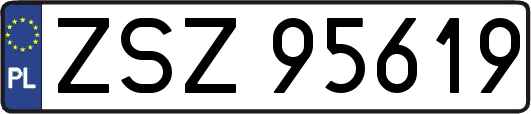 ZSZ95619