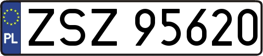 ZSZ95620
