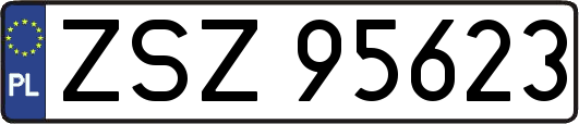 ZSZ95623