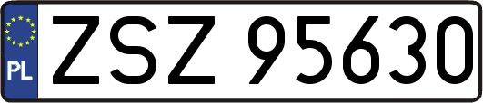 ZSZ95630