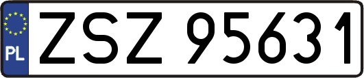 ZSZ95631