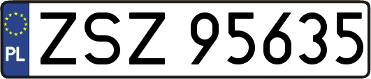 ZSZ95635
